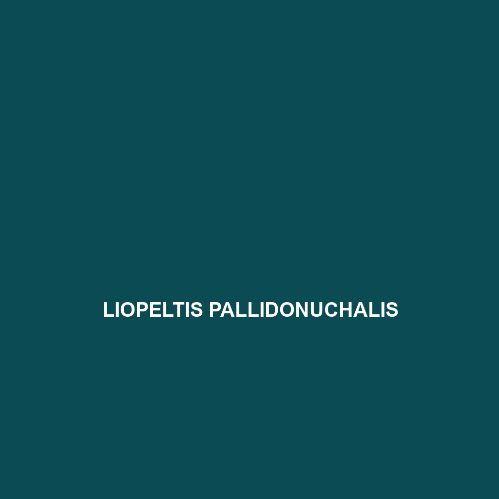 Liopeltis pallidonuchalis