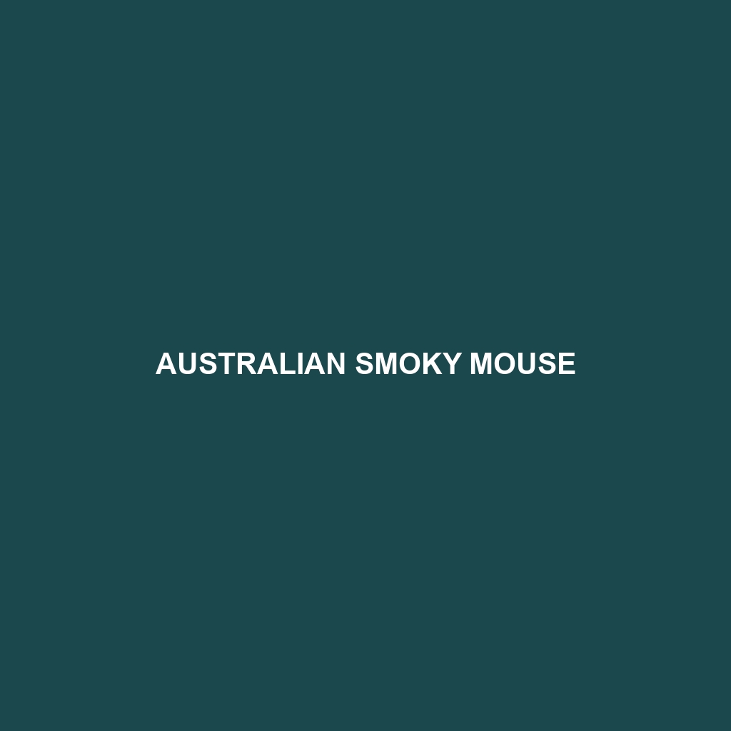 Australian Smoky Mouse