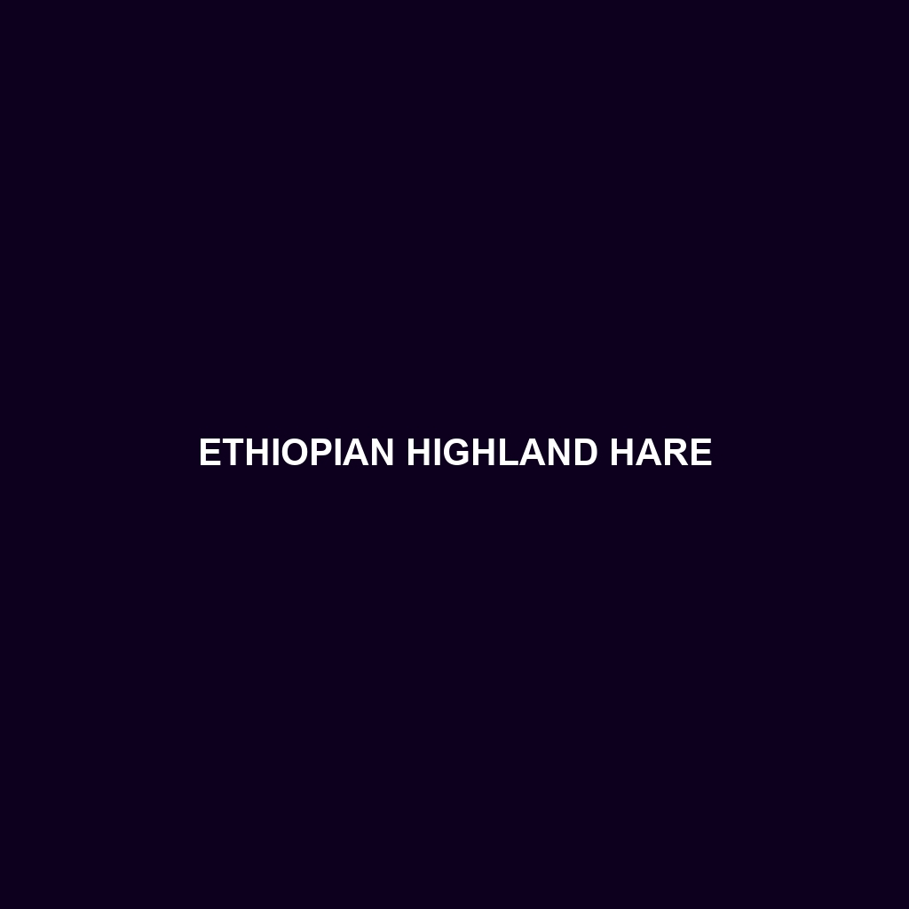 Ethiopian Highland Hare