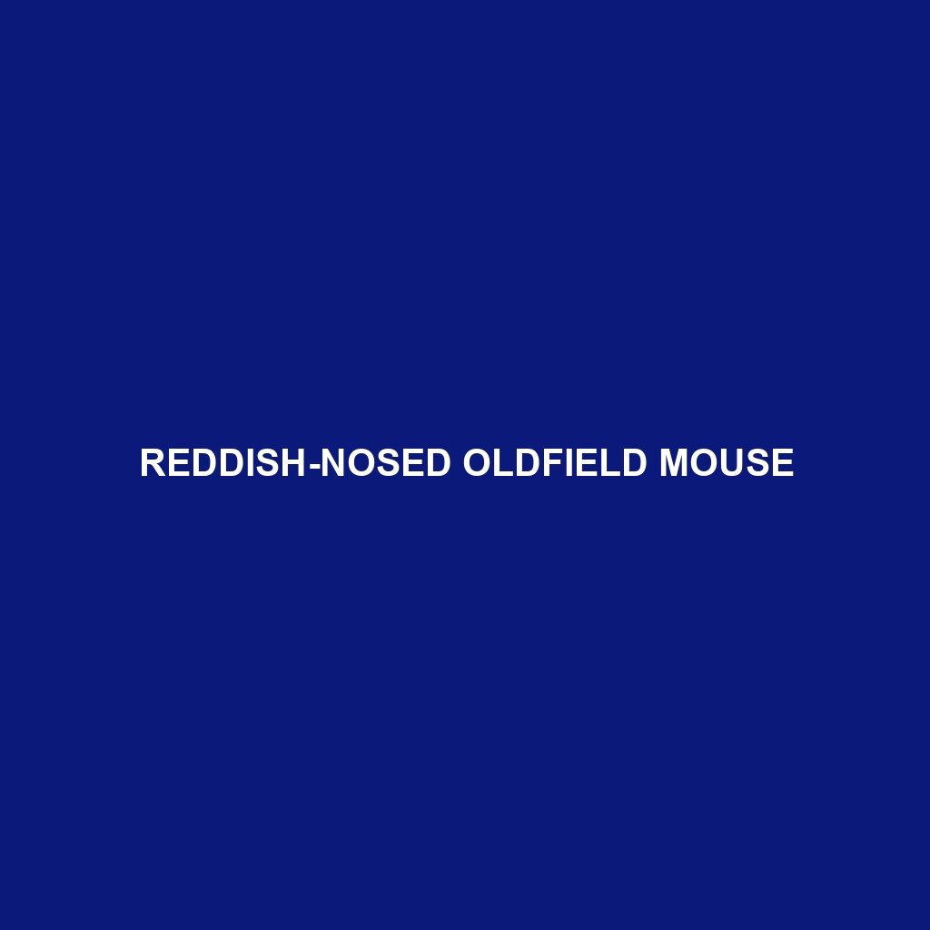 Reddish-nosed Oldfield Mouse