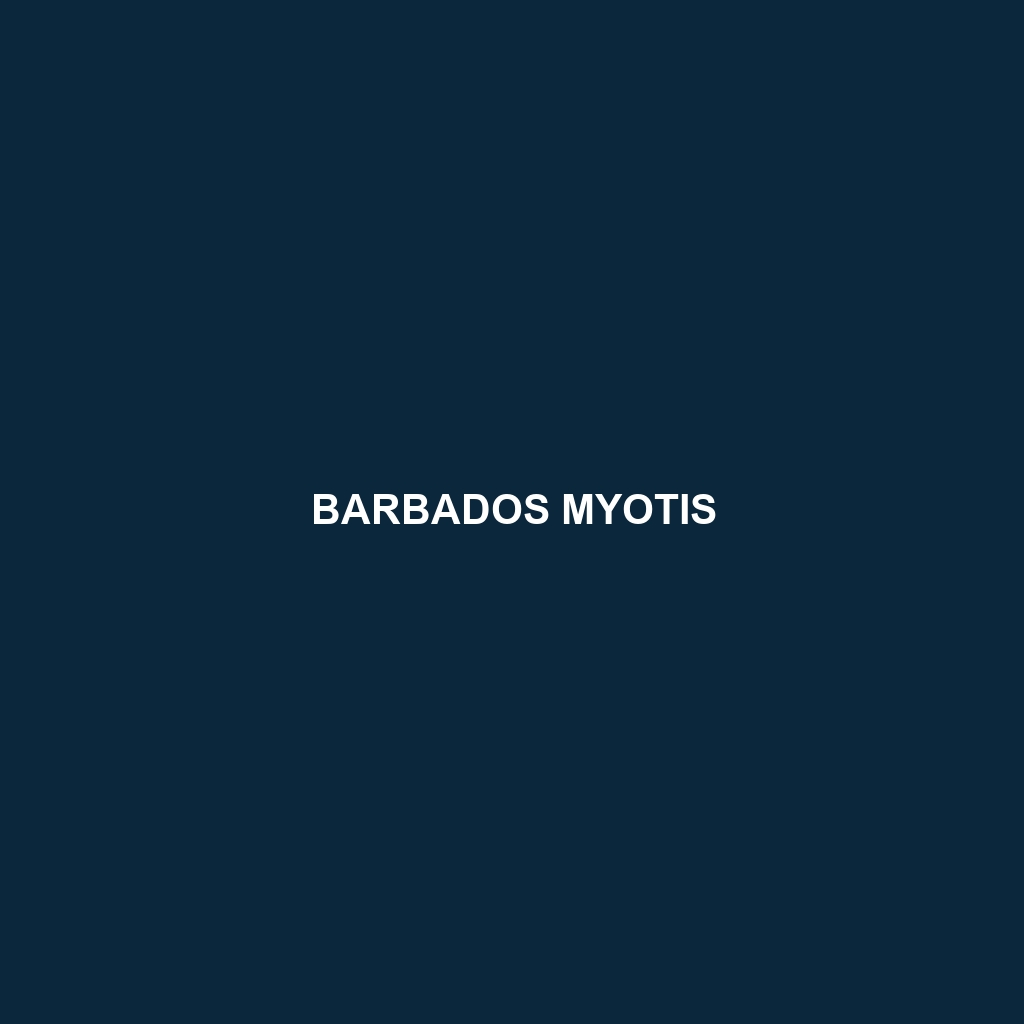 Barbados Myotis