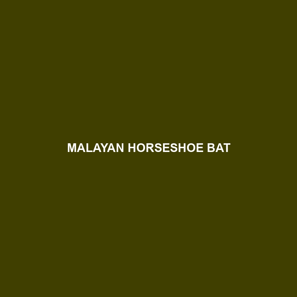 Malayan Horseshoe Bat