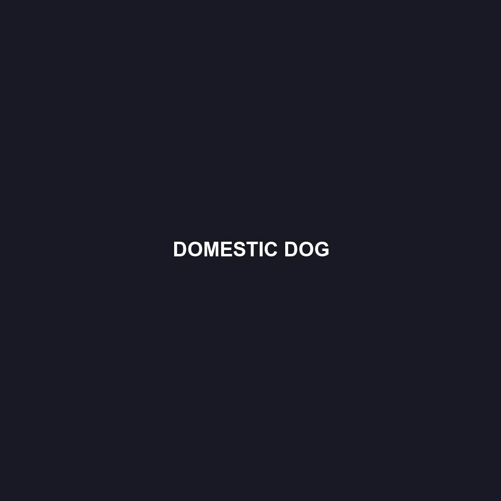 Domestic Dog