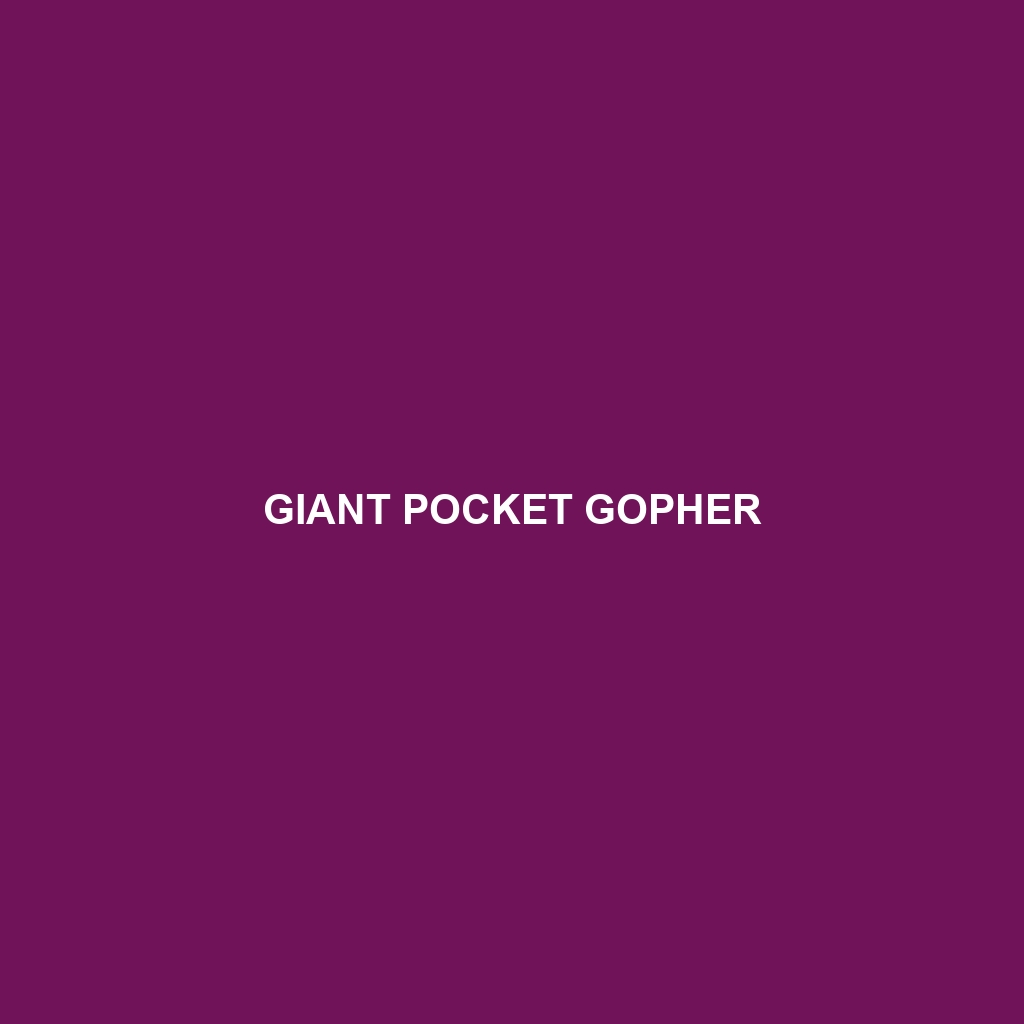 Giant Pocket Gopher