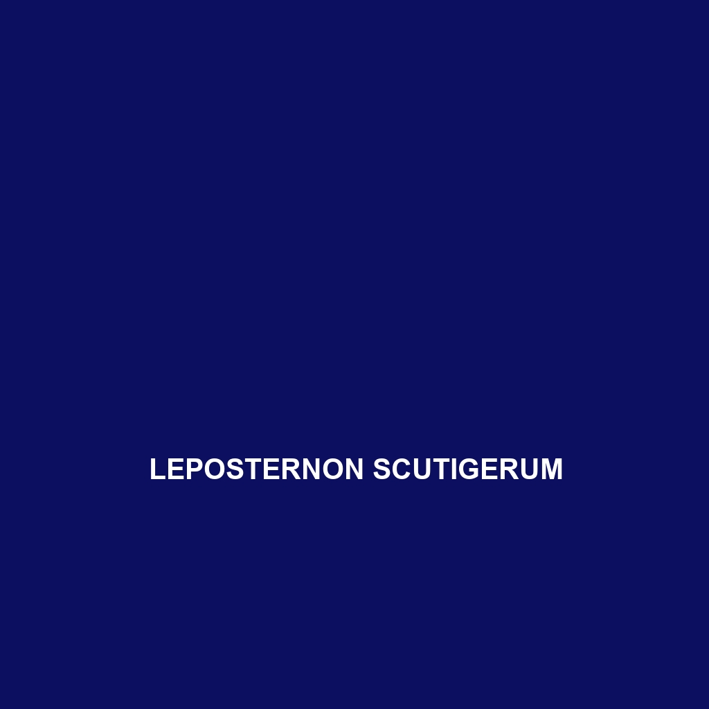 Leposternon scutigerum