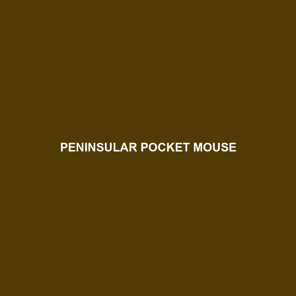 Peninsular Pocket Mouse