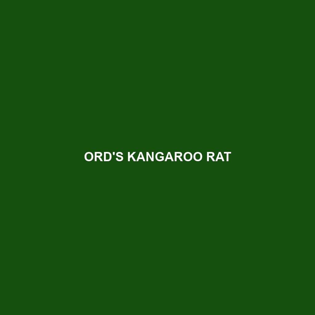 Plateau Kangaroo Rat