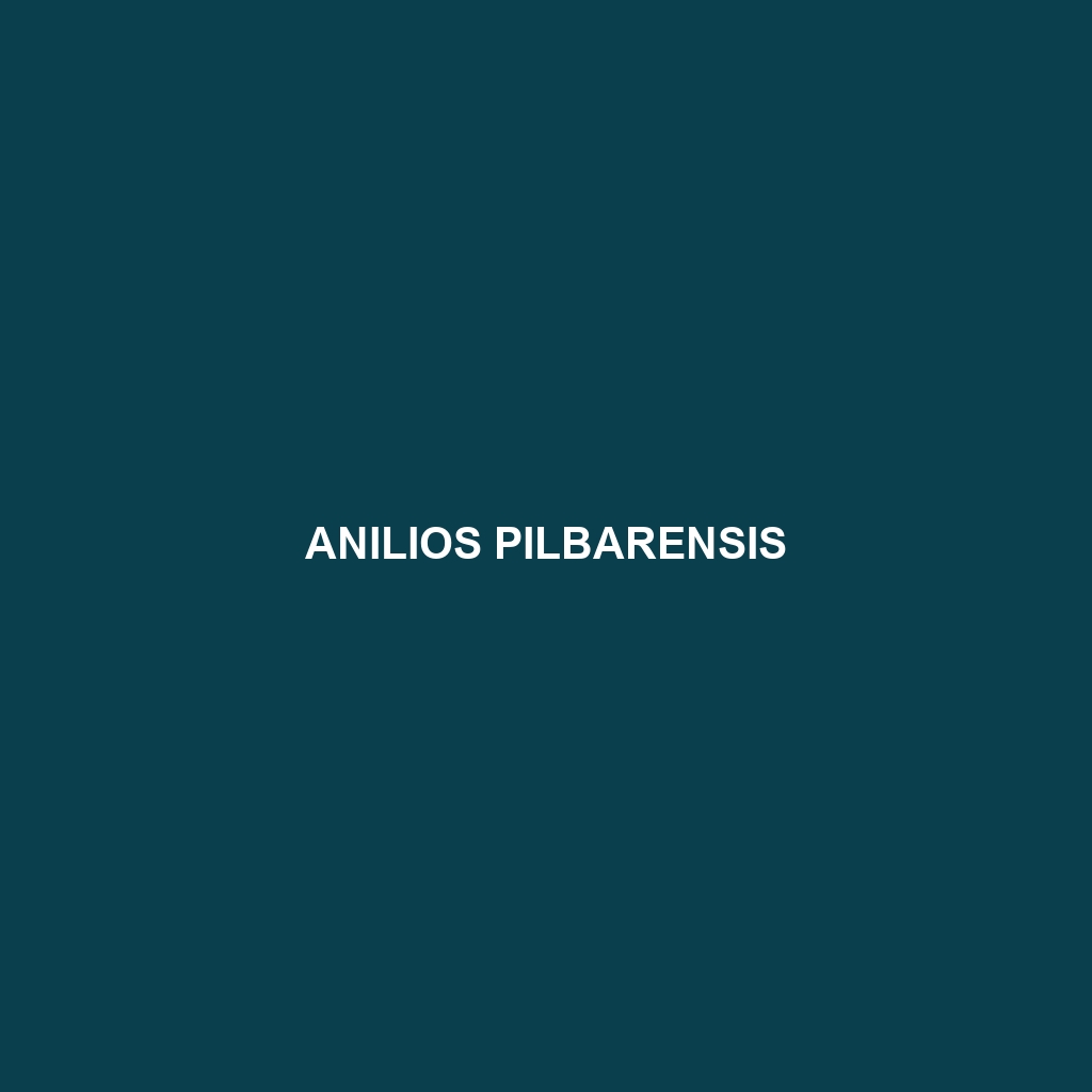 Anilios pilbarensis