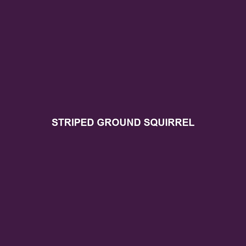 Striped Ground Squirrel