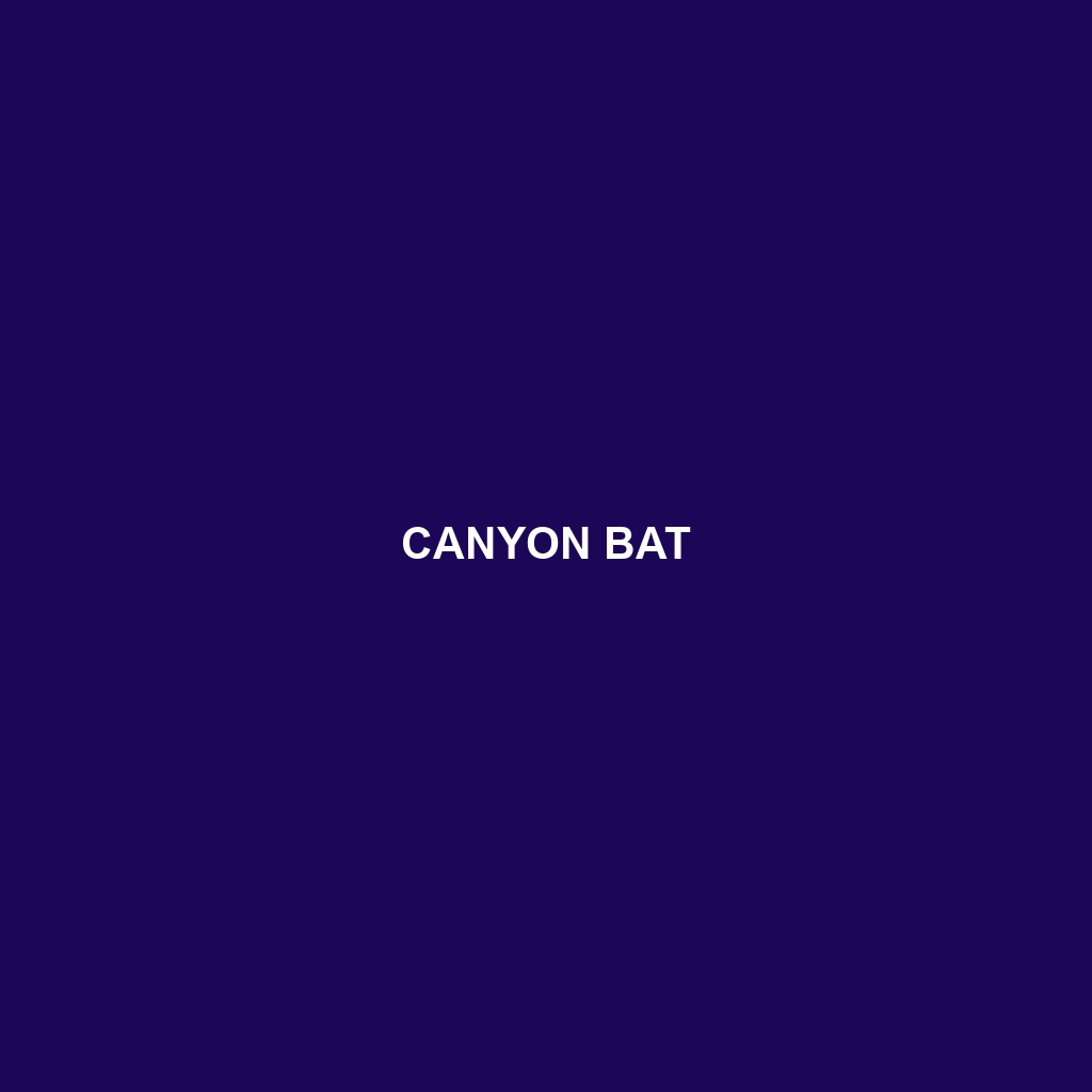 Canyon Bat