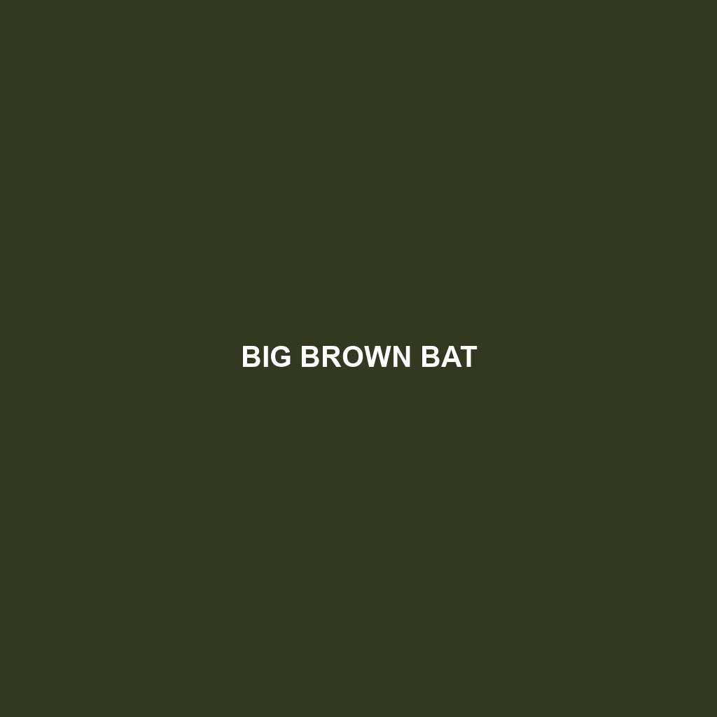 Big Brown Bat