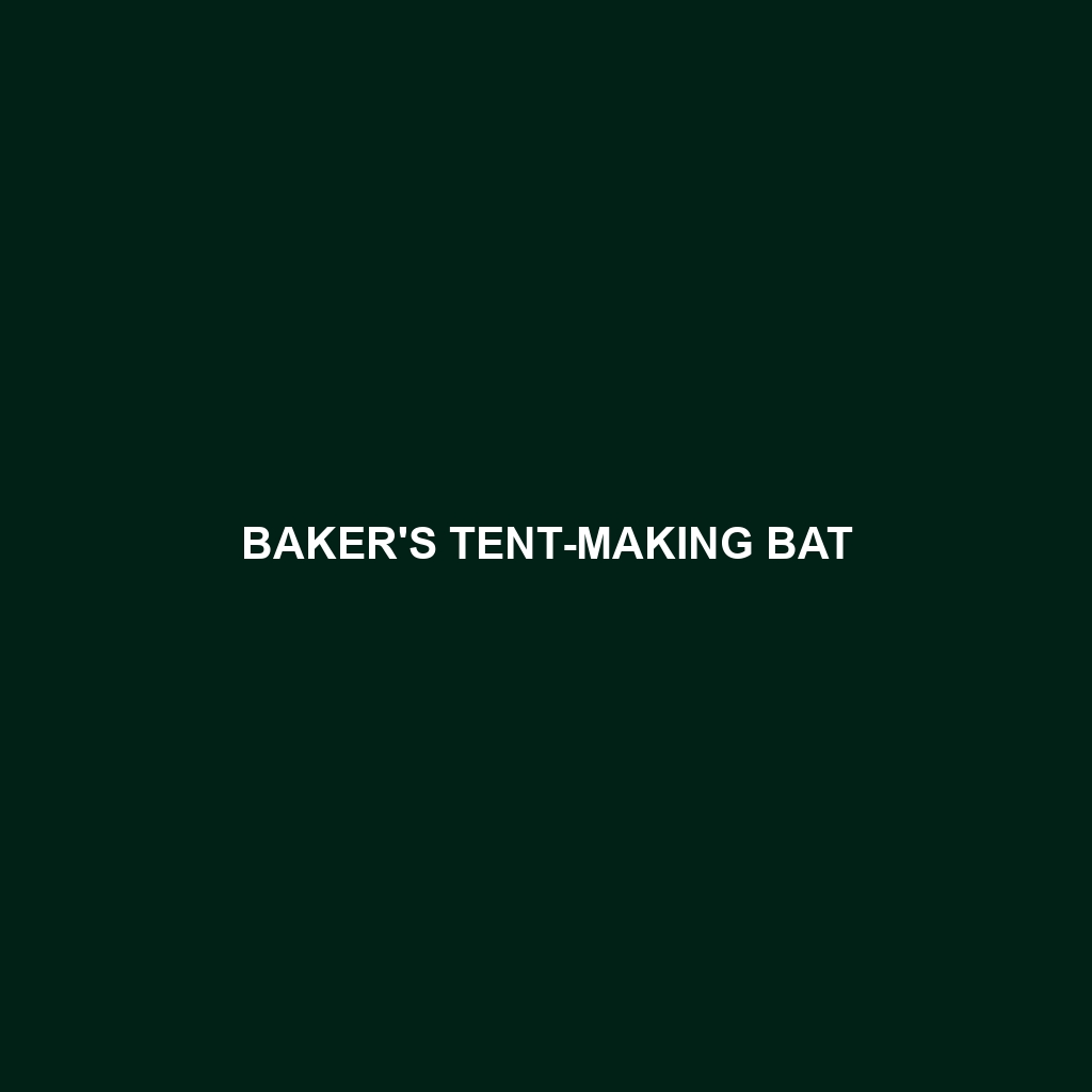 Common Tent-making Bat