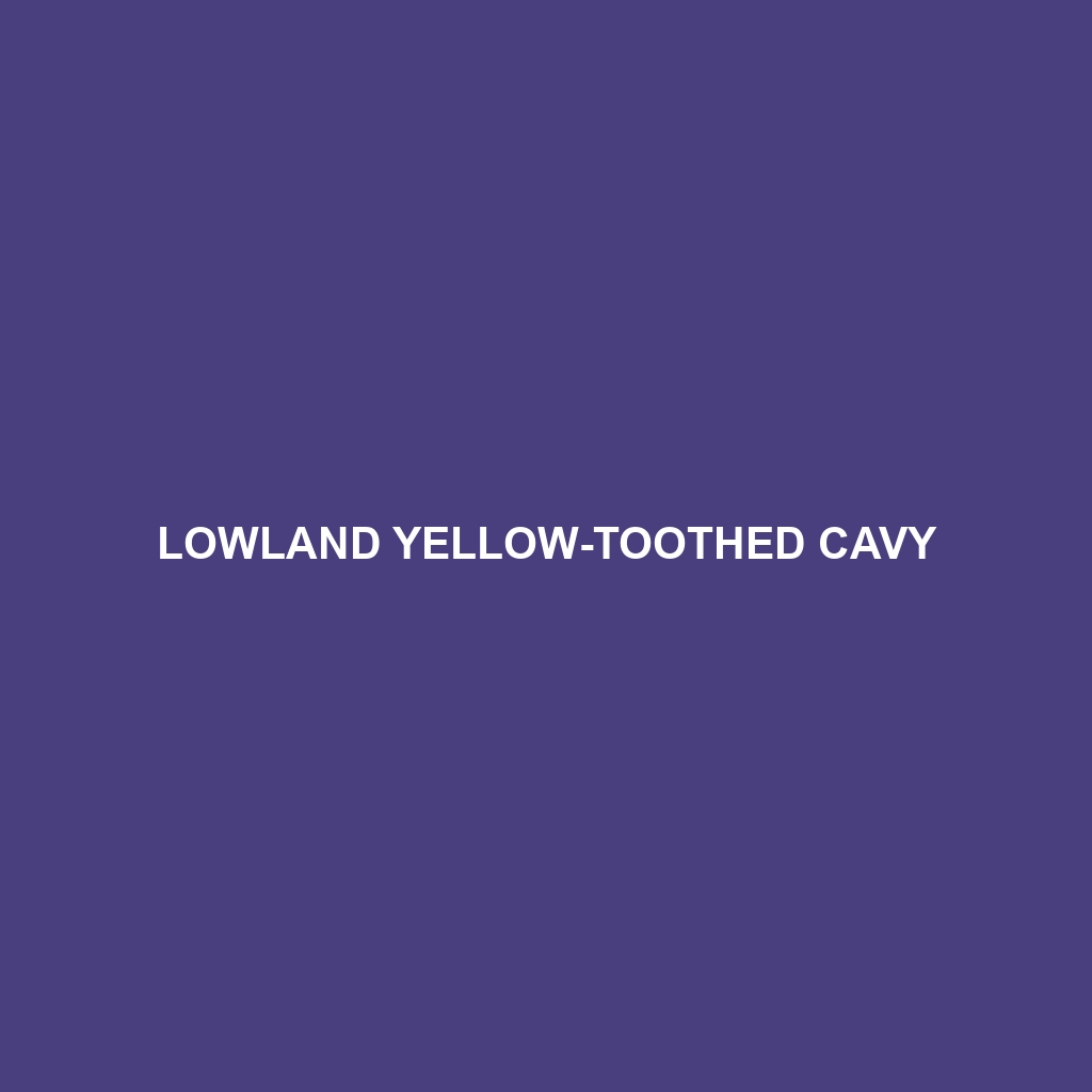 Highland Yellow-toothed Cavy