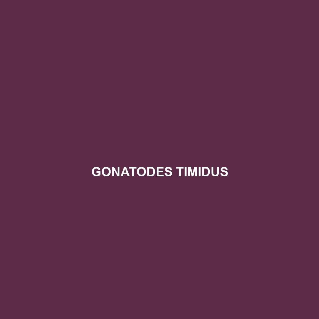 Gonatodes timidus