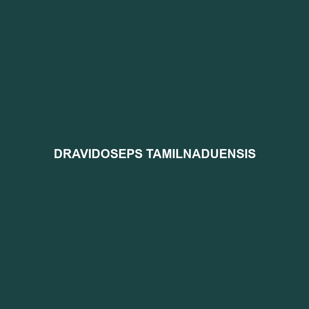 Dravidoseps tamilnaduensis