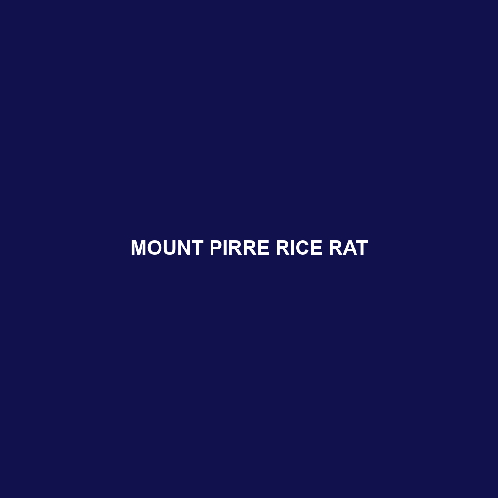 Mount Pirre Rice Rat