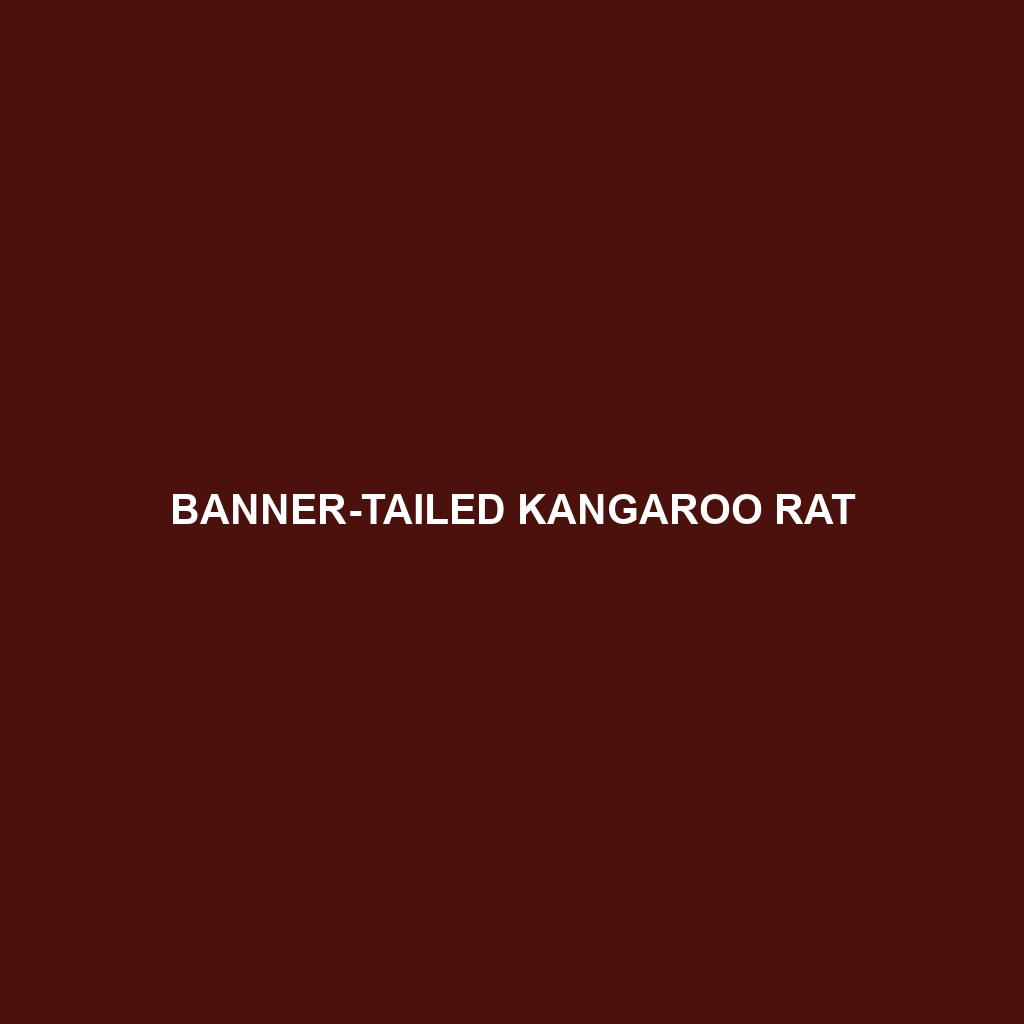 Banner-tailed Kangaroo Rat