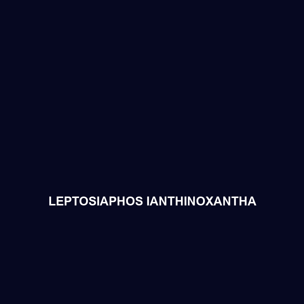 Leptosiaphos ianthinoxantha