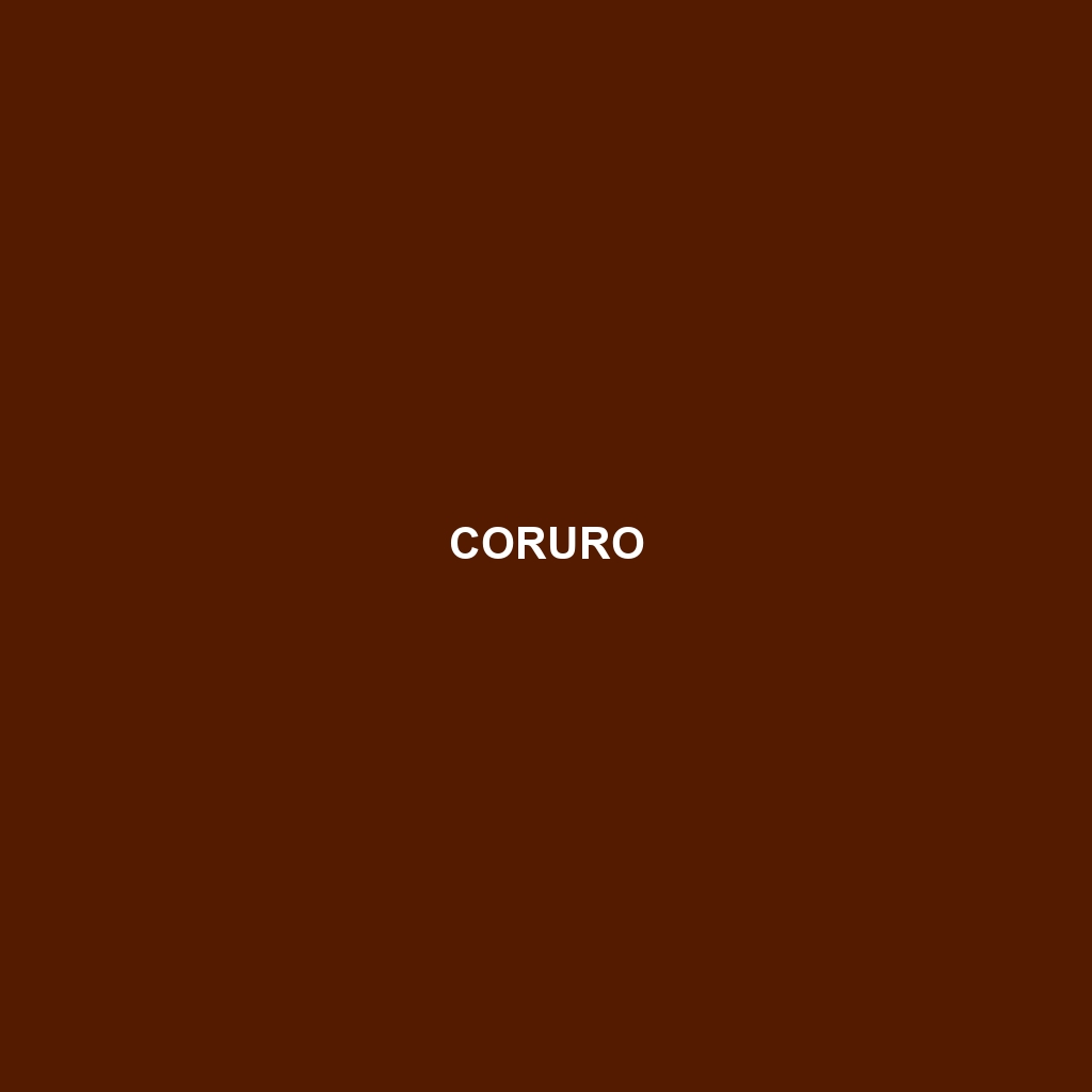 Coruro