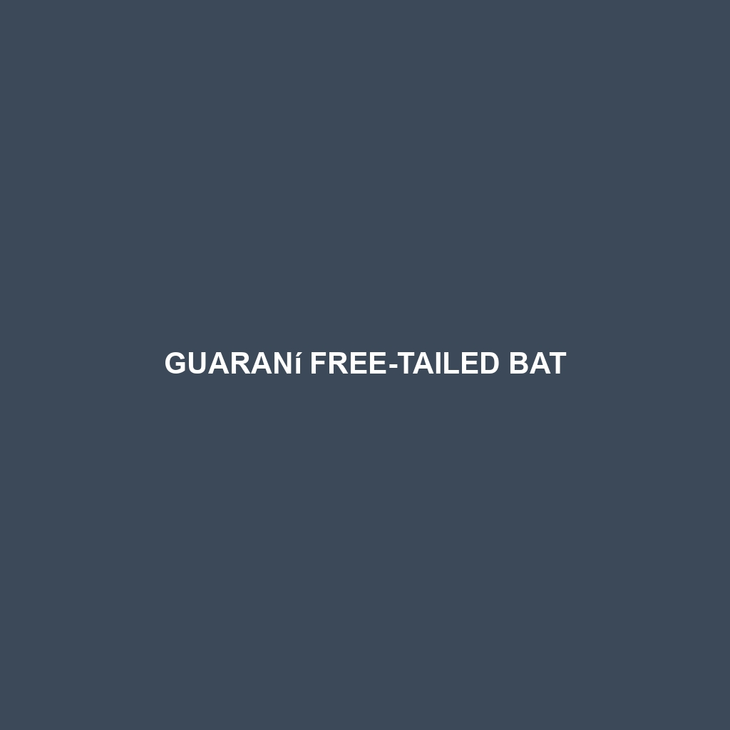 Guaraní Free-tailed Bat