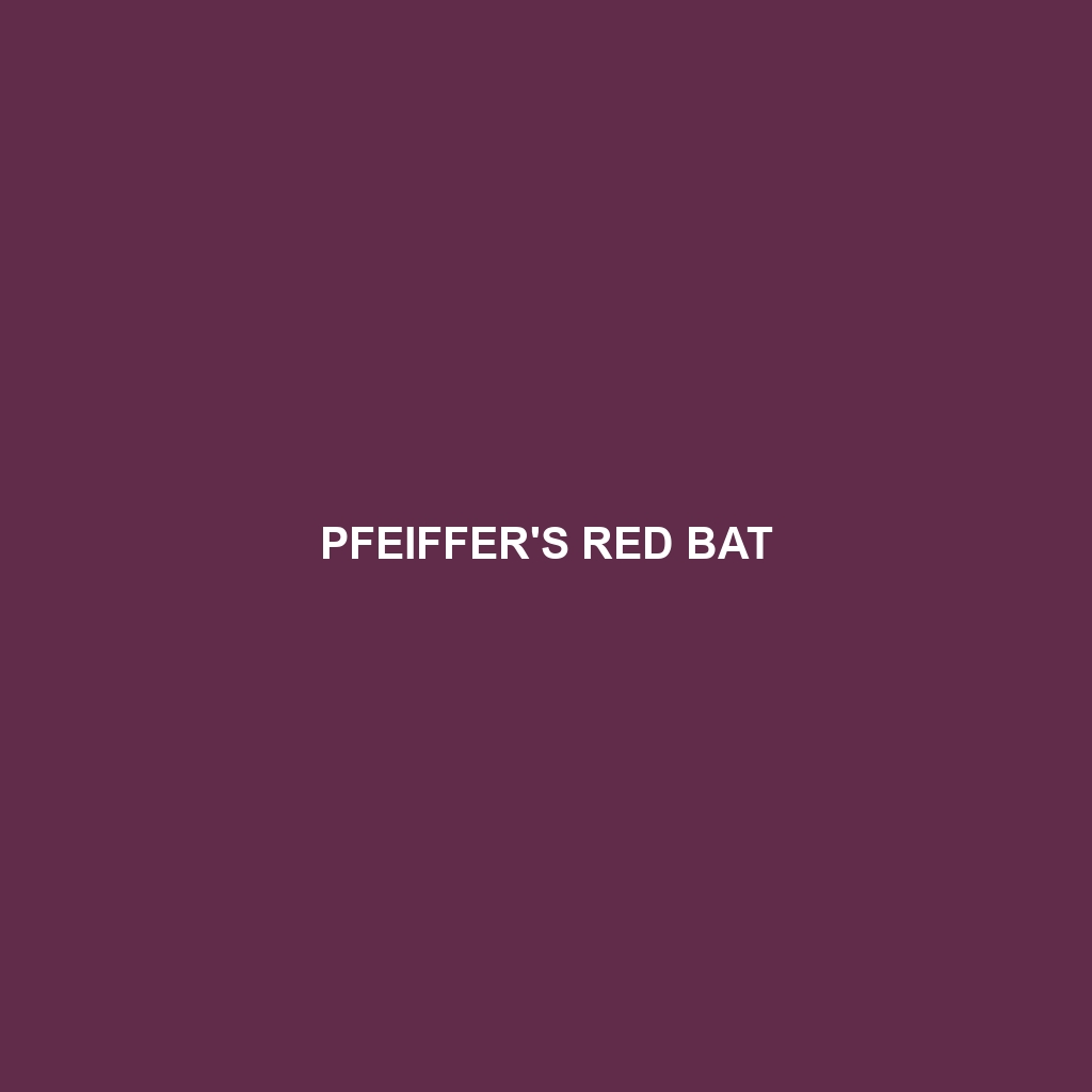 Pfeiffer's Red Bat