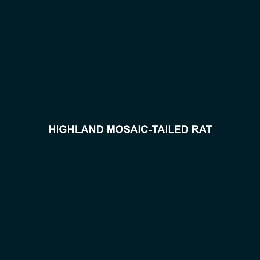 Highland Mosaic-tailed Rat