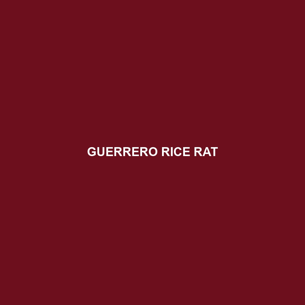 Guerrero Rice Rat