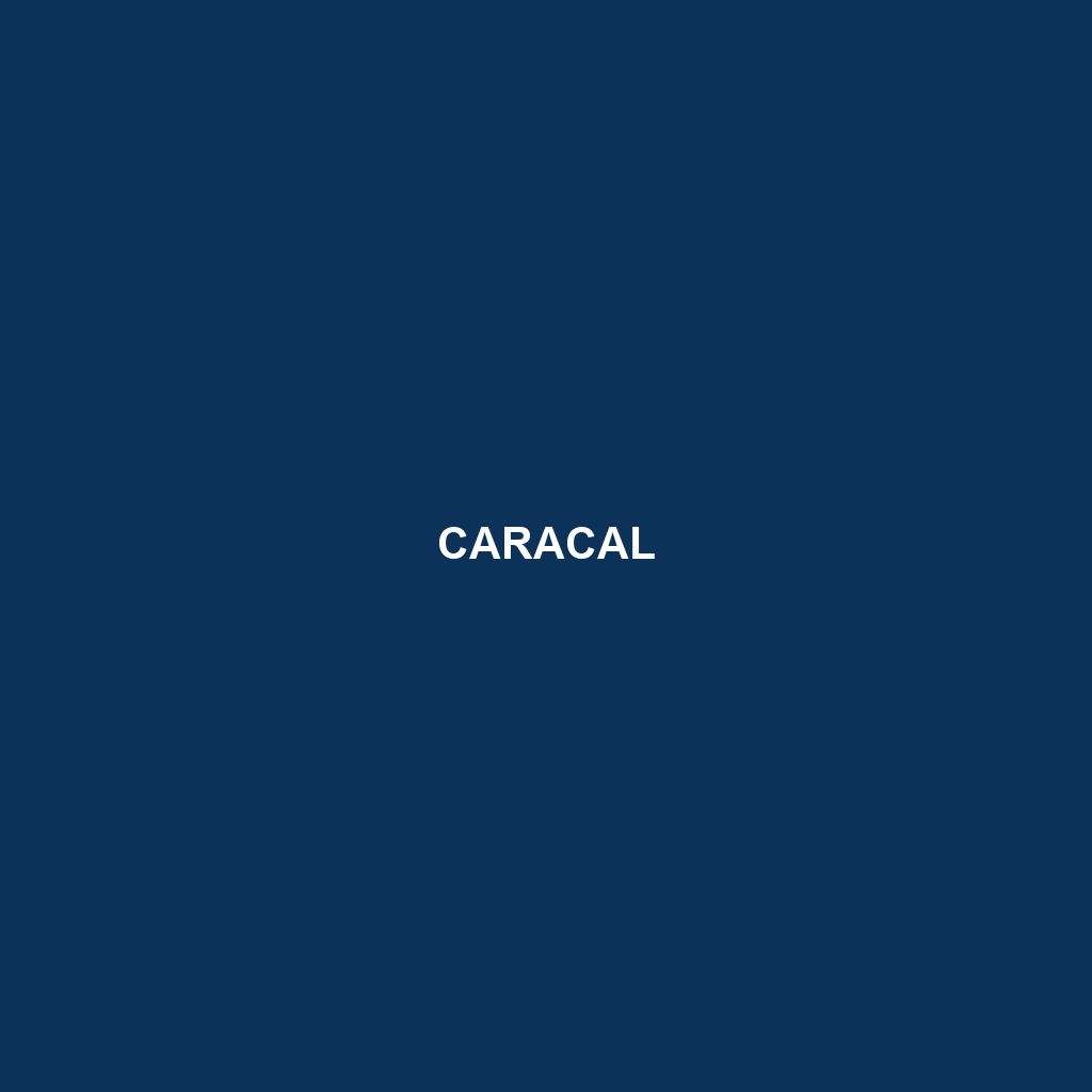 Caracal