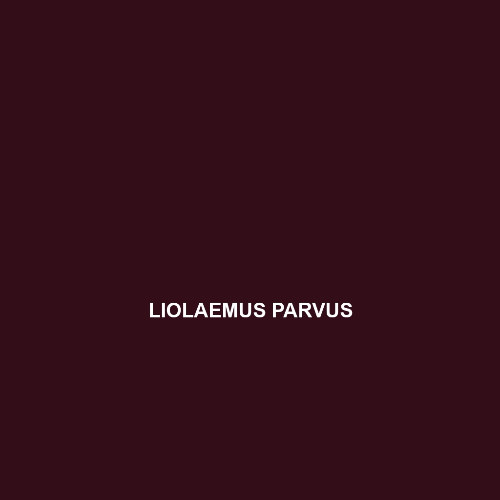 Liolaemus parvus