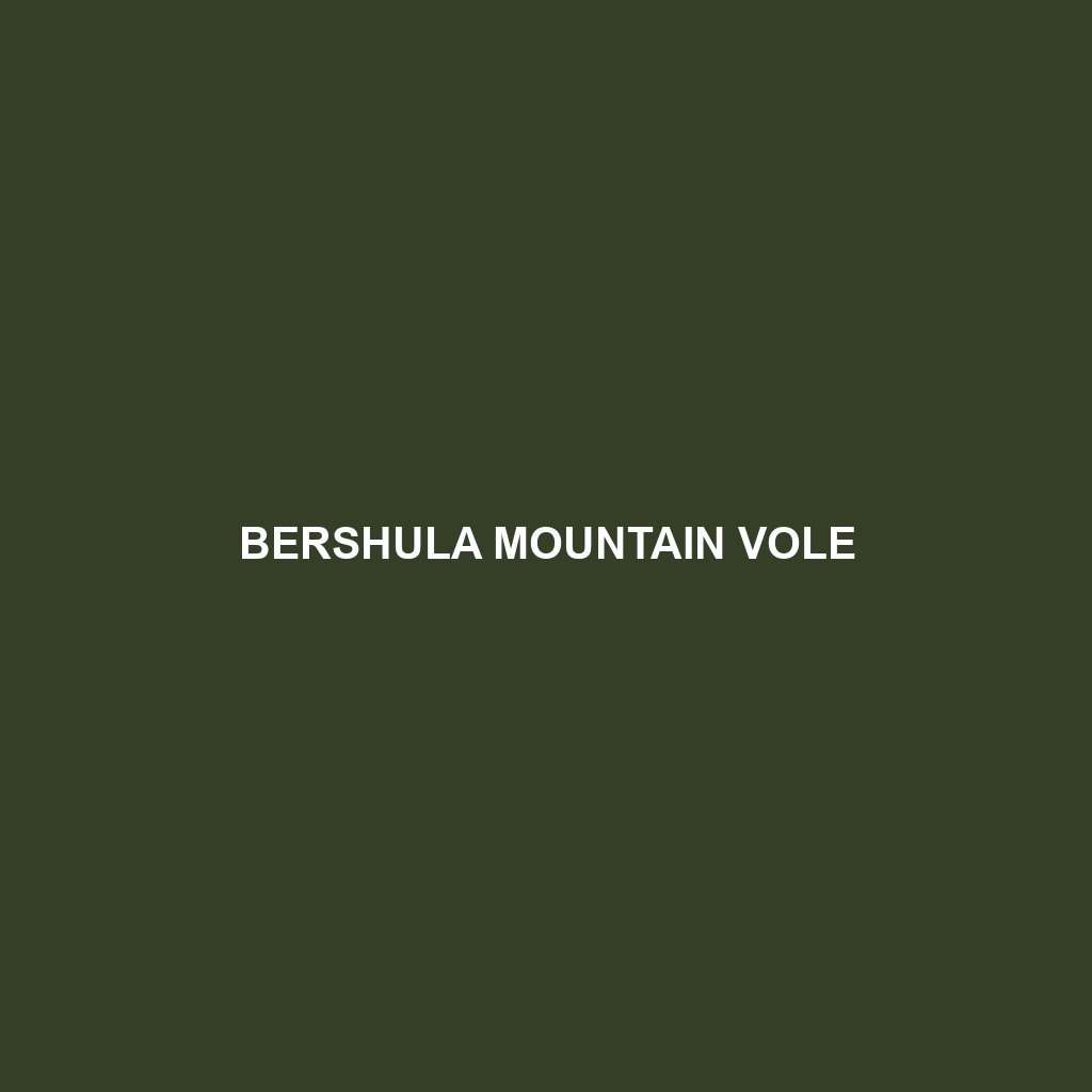 Bershula Mountain Vole