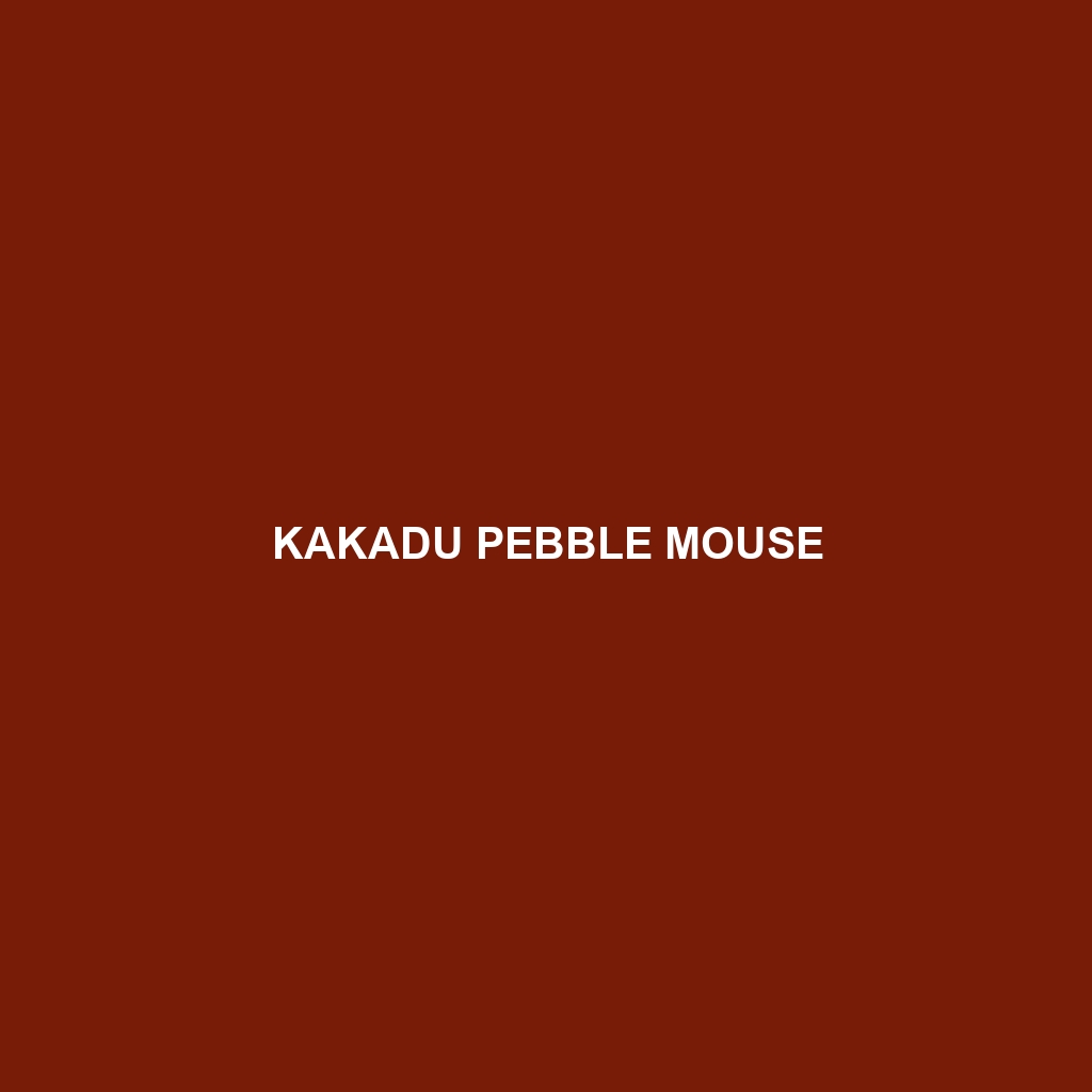 Kakadu Pebble Mouse