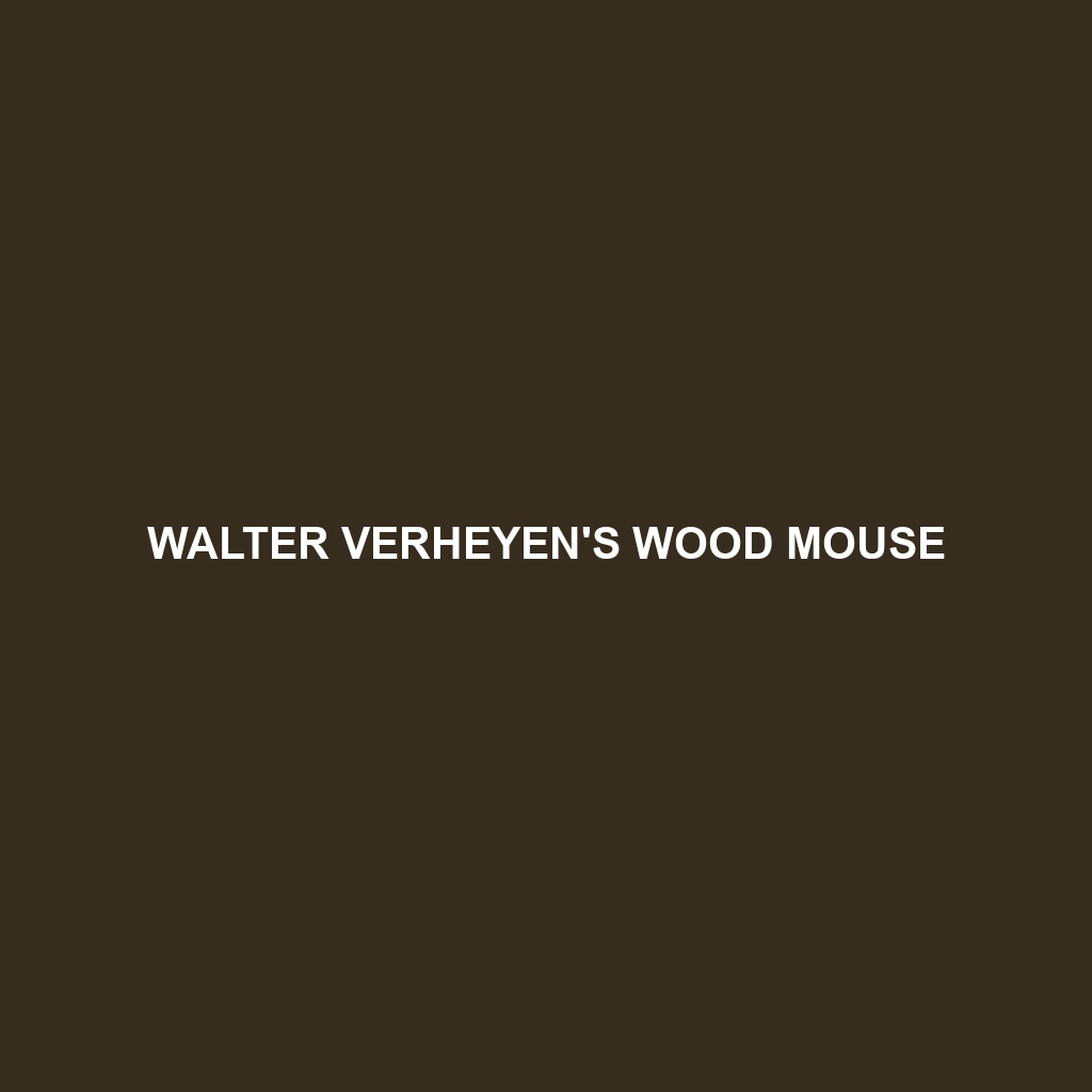 Walter Verheyen's Wood Mouse