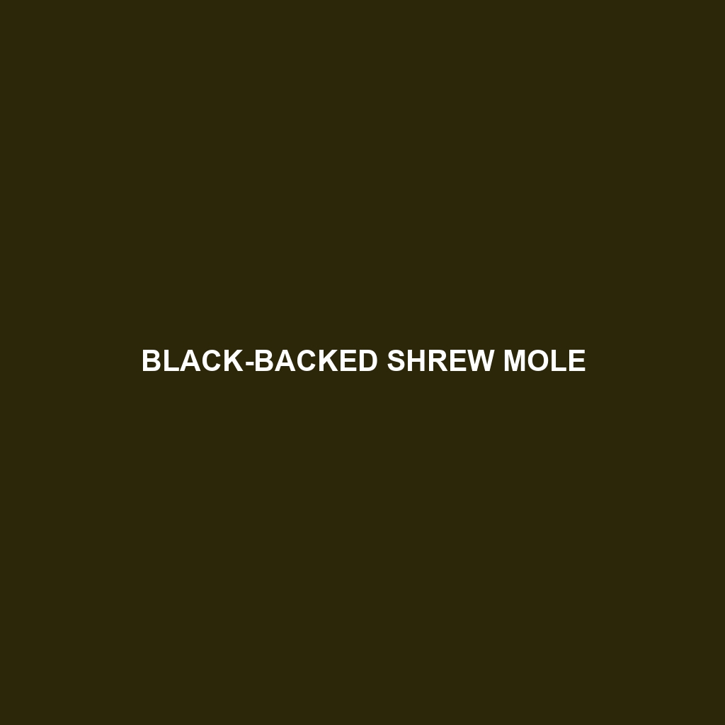 Black-backed Shrew Mole