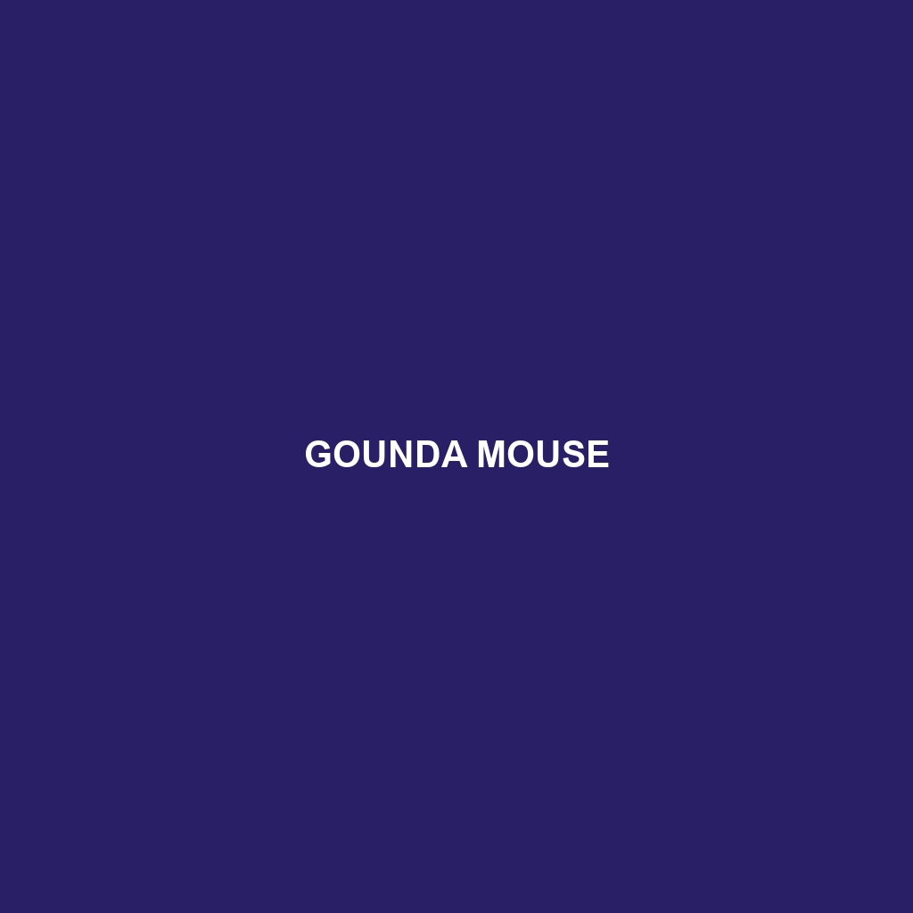 Gounda Mouse