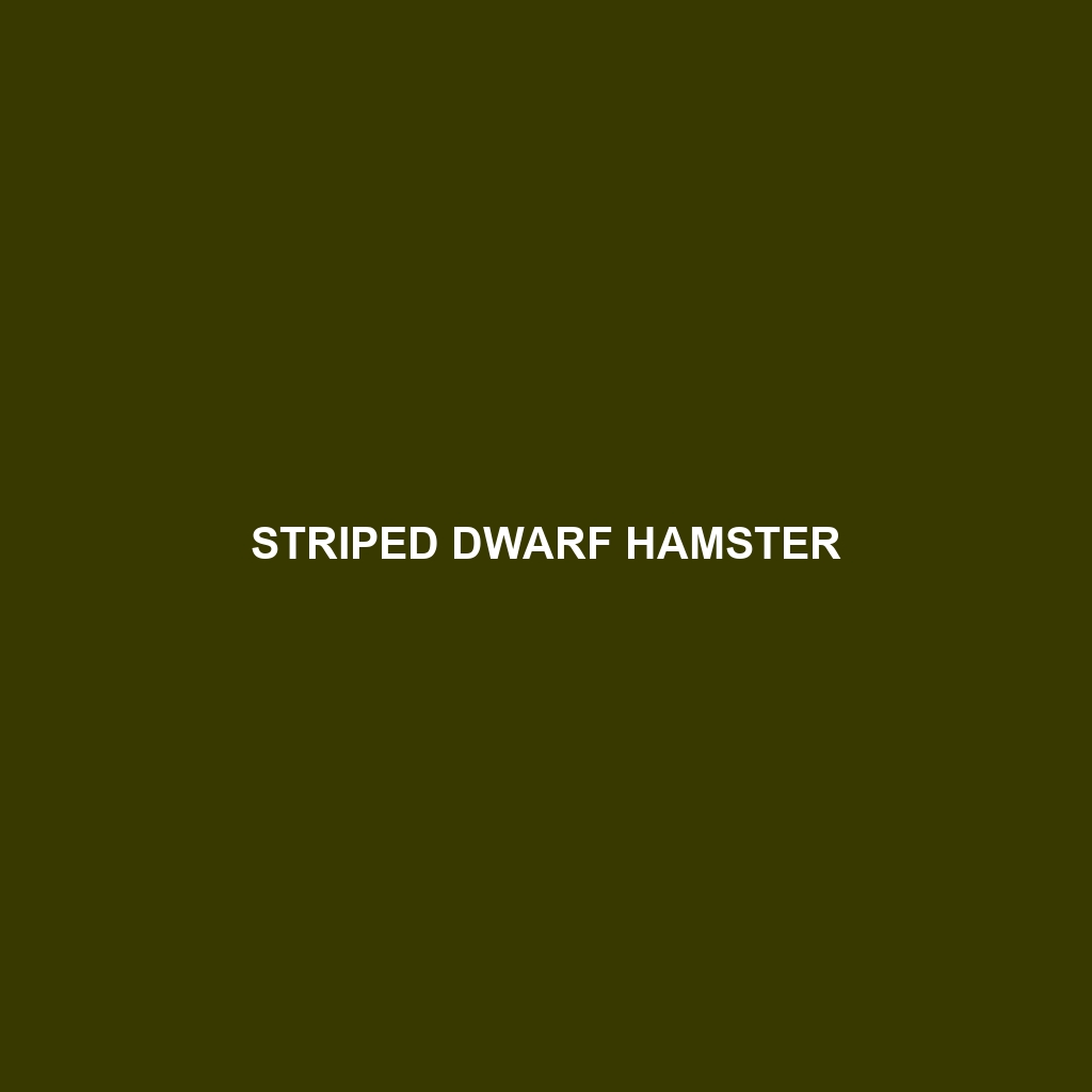 Striped Dwarf Hamster