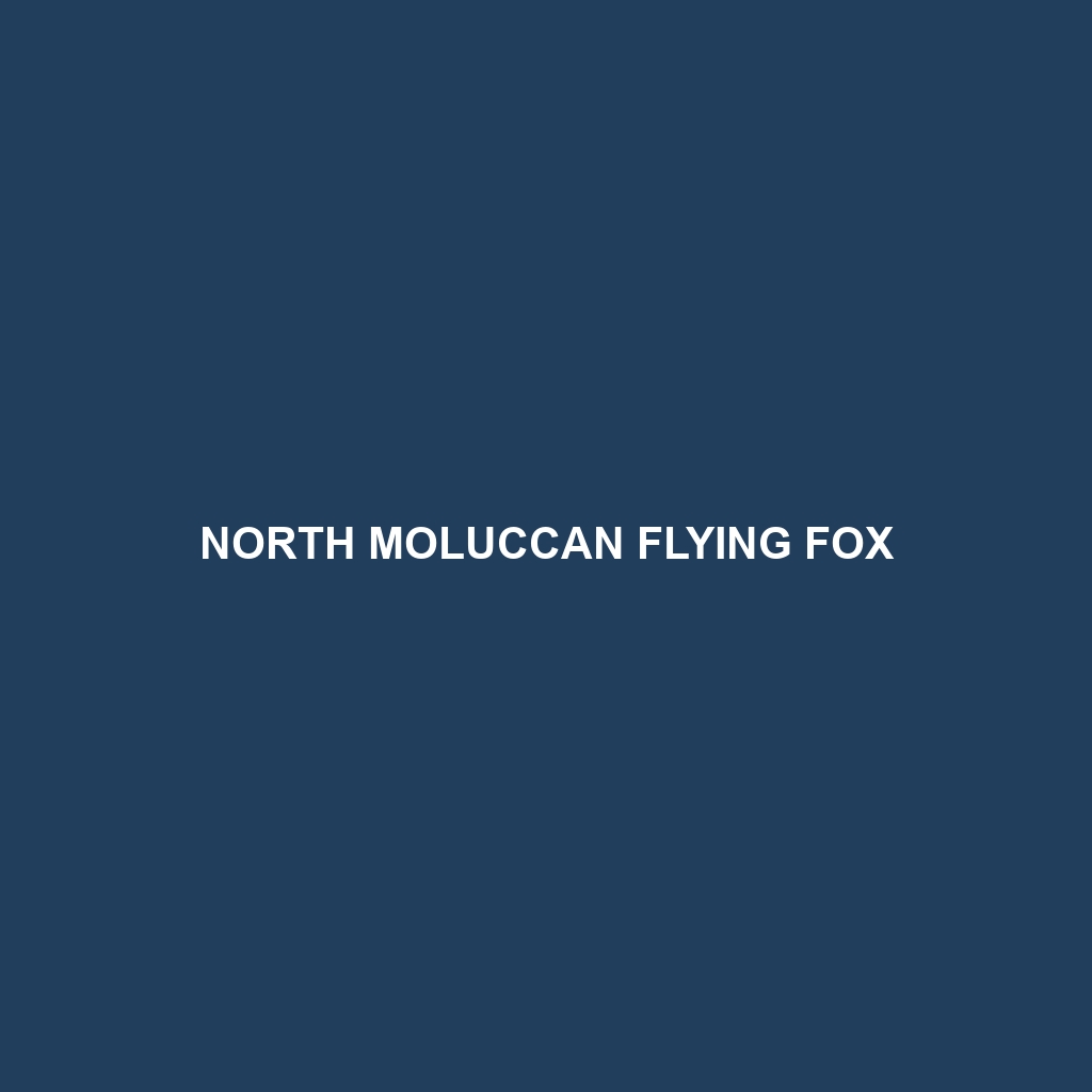 North Moluccan Flying Fox