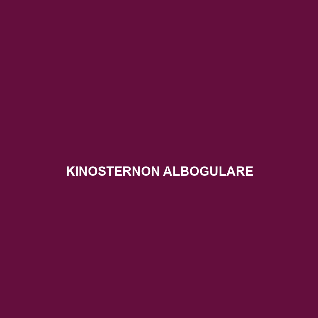 Kinosternon albogulare