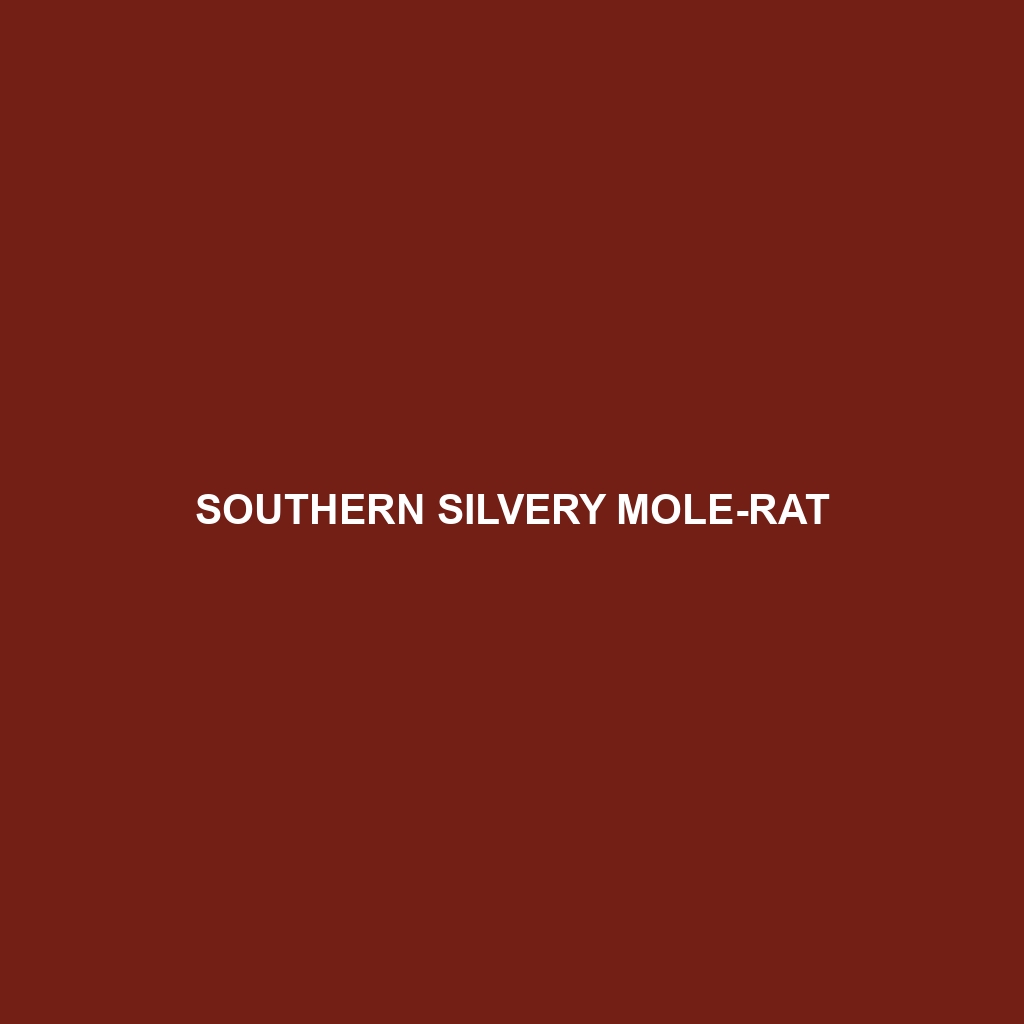 Southern Silvery Mole-rat