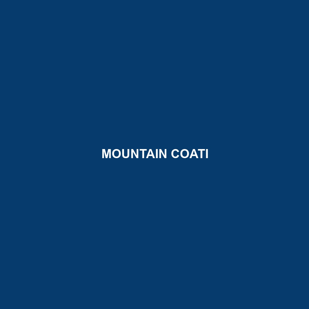 Mountain Coati