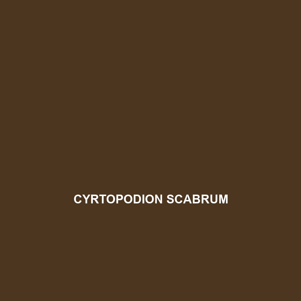 Cyrtopodion scabrum