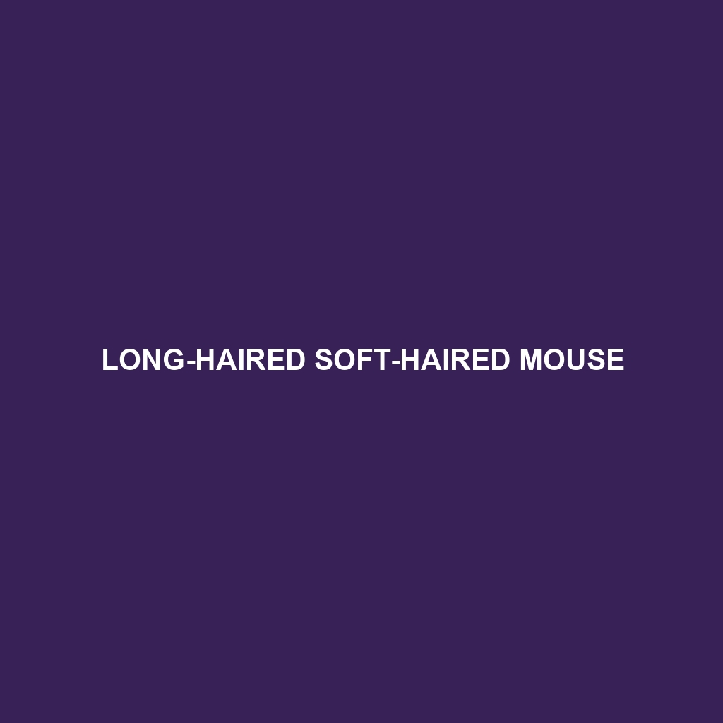 Long-haired Soft-haired Mouse