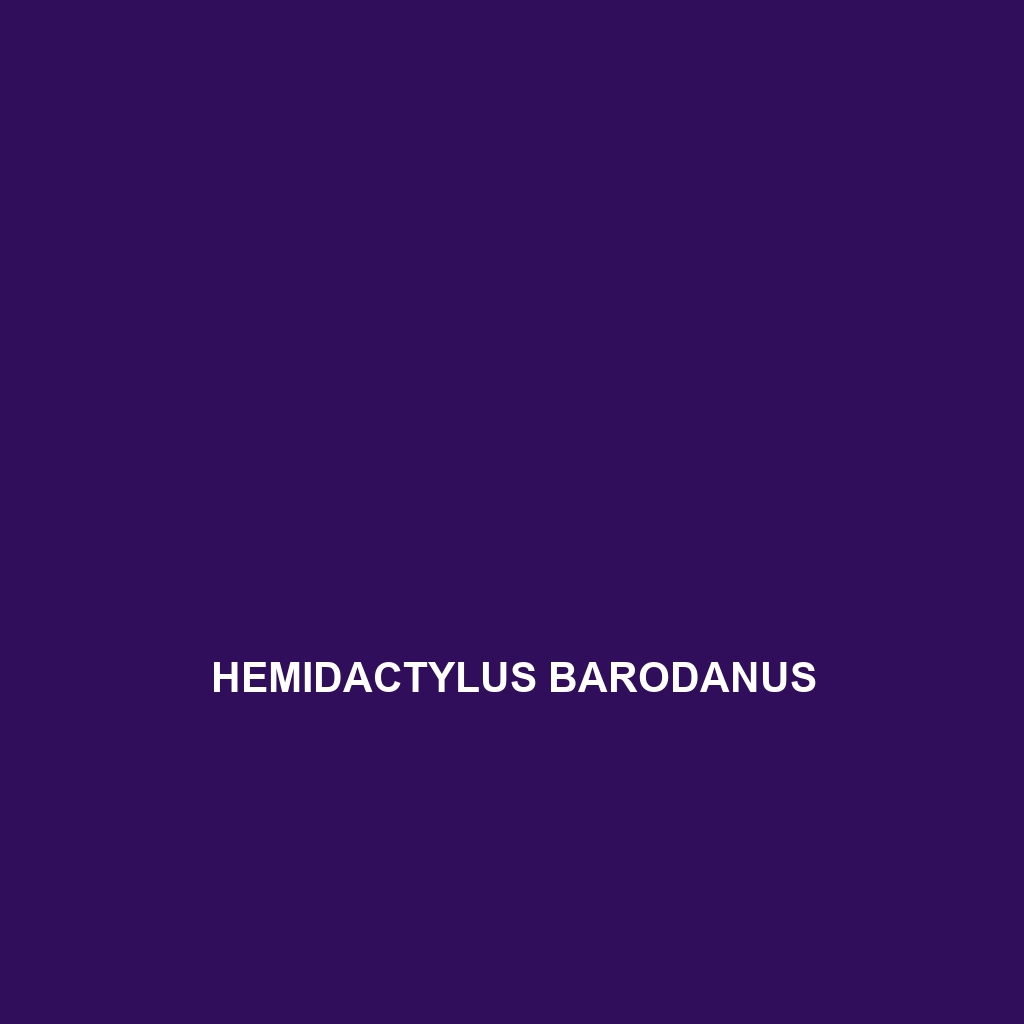 Hemidactylus barodanus