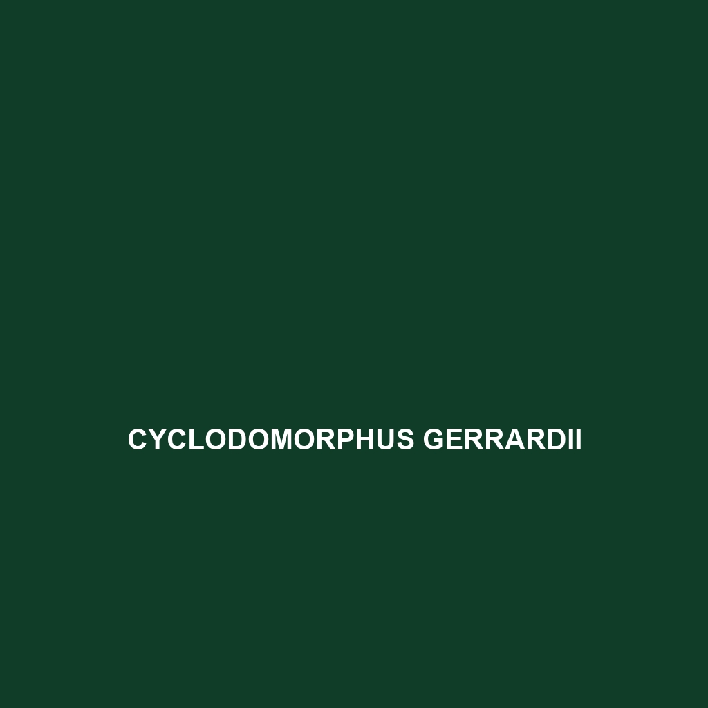 Cyclodomorphus celatus