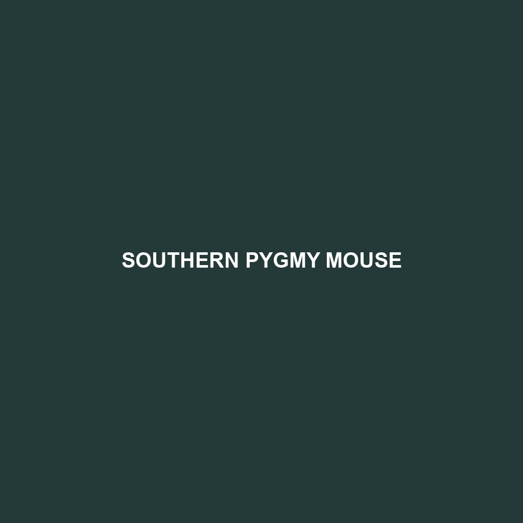 Southern Pygmy Mouse