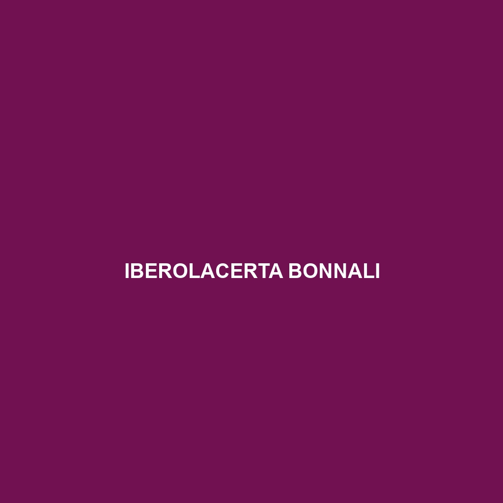 Iberolacerta bonnali