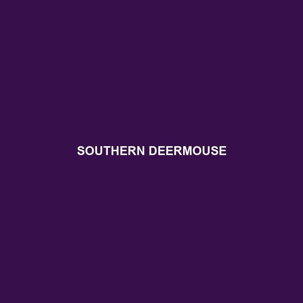 Southern Deermouse