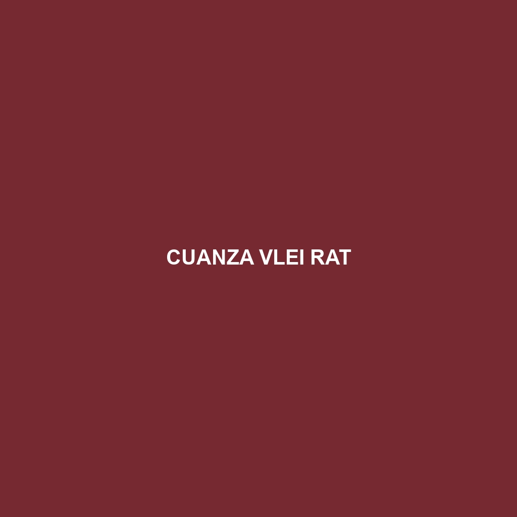 Cuanza Vlei Rat