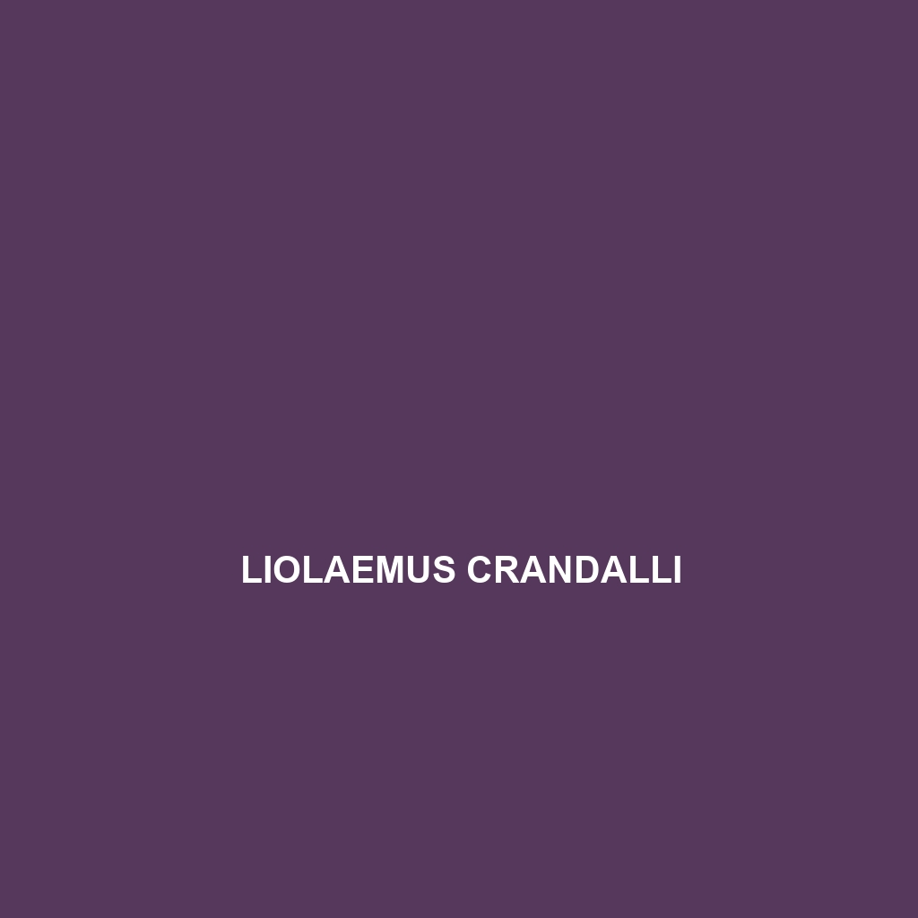 Liolaemus crandalli