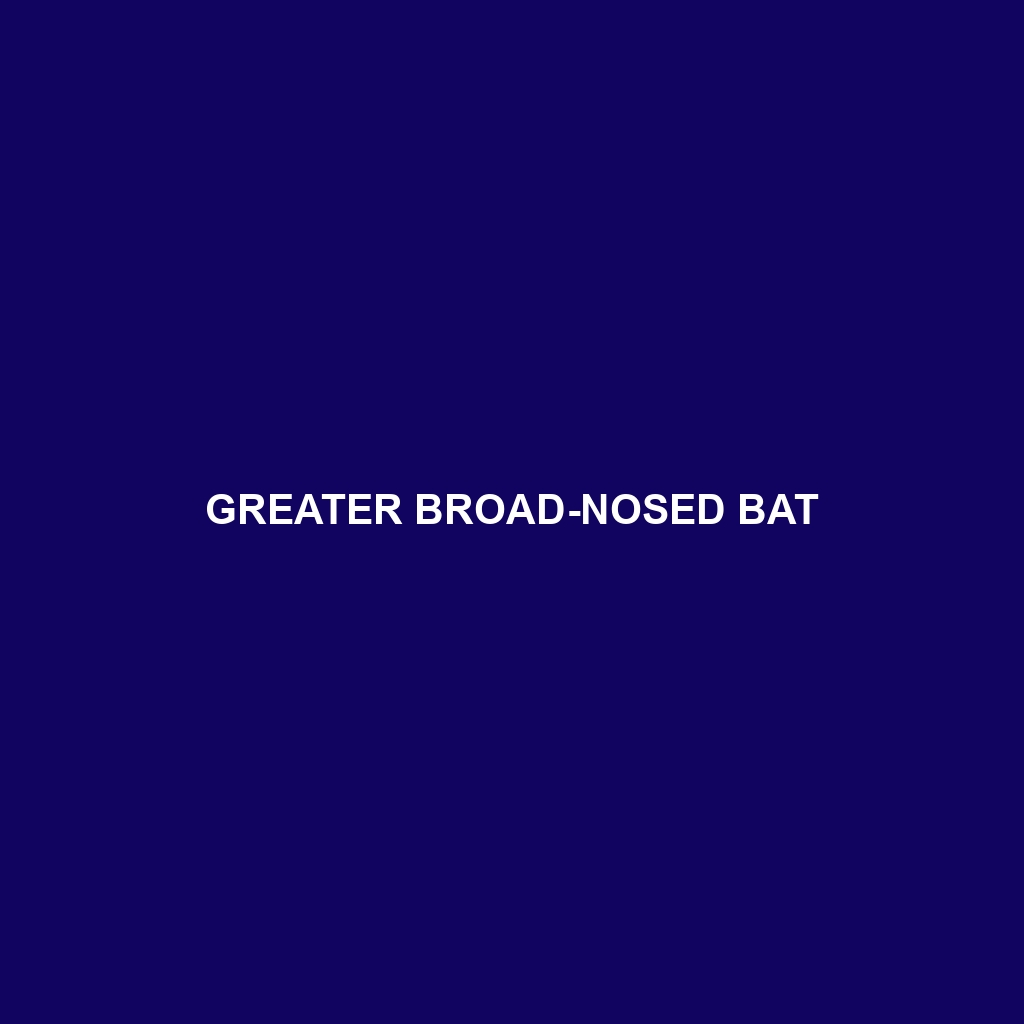 Greater Broad-nosed Bat