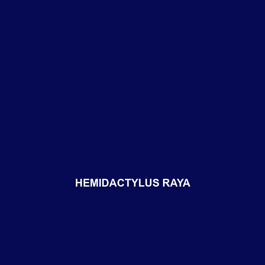 Hemidactylus raya